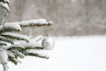 Silver ball, Christmas tree toy hanging on a Christmas tree in a snowy winter forest