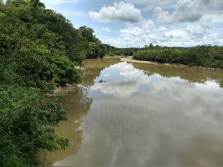waterfall in the forest