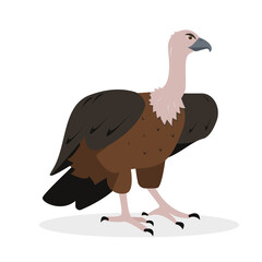 Vulture bird icon isolated on white background. Nature, birdwatching and ornithology design. Vector cartoon or flat illustration.