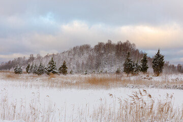 wooden footbridge in the middle of lake full of reeds in winter snow