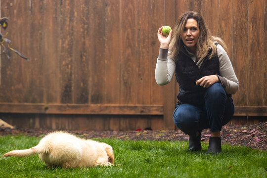 Woman playing tennis ball fetch with her golden retriever puppy dog in the backyard of her hom. 