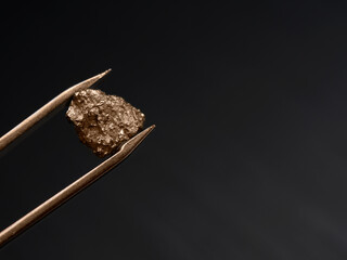 Tweezers holding golden nugget grain on the dark background and selective focus. Copy space.