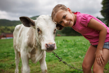 Farmer children feeding and stroking black and white calf during their summer vacation in...