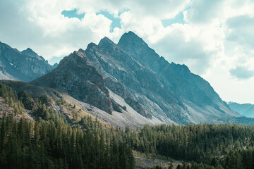 Scenic alpine landscape with great dragon shaped mountain under cloudy sky. Beautiful mountain scenery with big sharp rocks in cloudy sky above coniferous forest. Awesome high mountain with peaked top