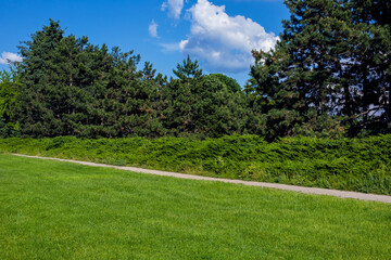 a trail near a green lawn along a park with green bushes of evergreen thuja and pine trees against a blue sky with clouds on a sunny summer day environment, nobody.