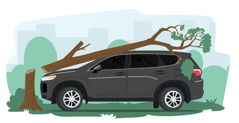 Broken Car with Tree Fall on Automobile Roof and Windshield. Nature Disaster, Accident in City or Suburban Area