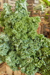 Raw Kale in Close