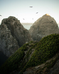 Three beautiful peaks of big rocks, in the beach with seagulls flying arround them, at sunrise, in Consitución, Chile