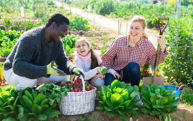 Positive family of farmers,working in the garden, communicates on interesting to topics in pereryra