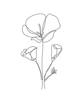 recommend clip art: a one line art illustration of a flower. a continuous hand drawn drawing in vector. an illustration for an art print, tattoo, beauty product or shop, etc.