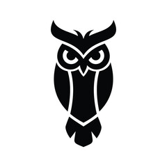 owl on white background