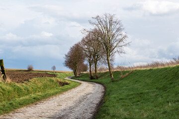 Paved road through a rural scenery - obrazy, fototapety, plakaty