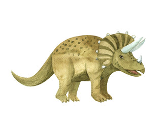Triceratops dinosaur,watercolor drawing, children's illustration,element on a white background