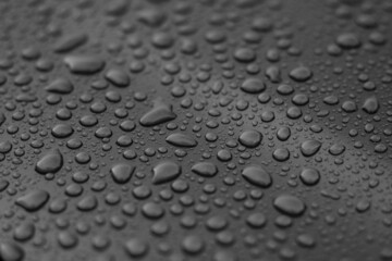 water drops black and white