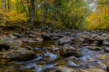 Naklejka na ściany i meble Fall Color on Lower Glade Creek, New River Gorge National Parks, West Virginia, USA