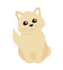 pet little cat