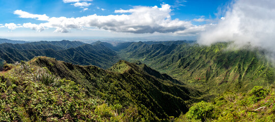 Panorama in the Moanalua Valley in Oahu