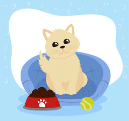 little cat with ball