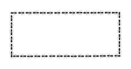 Black ants square border. Ants forming rectangular shape isolated in white background. Vector illustration