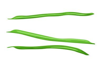 いんげん_野菜