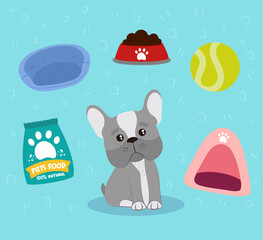 pets icon set