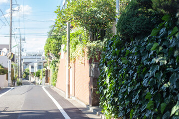 住宅街の街並み（東京都世田谷区奥沢1丁目）