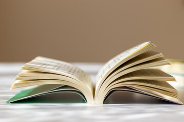 机の上に開いて置かれた一冊の本