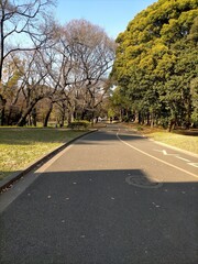 Yoyogi park 