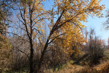 Kamloops Parks