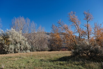 Fototapeta premium Kamloops Parks