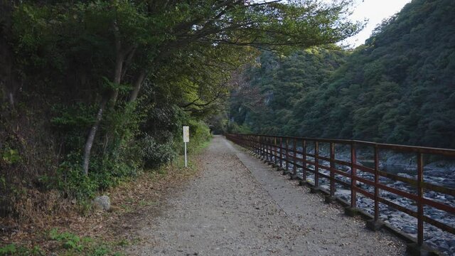 Autumn Leaves Falling over Takedao Hiking Trail on Old Fukuchiyama Line, Japan