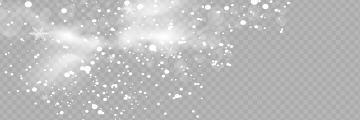 Vector snowfall isolated. Winter background. Snow overlay illustration. Snowflakes and ice.