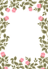 Vintage shabby chic pink rose flower frame background vector illustration arrangement