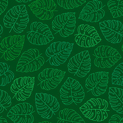 Green Seamless Pattern with Monstera leaves. Contour leaves isolated on a green background. Monstera Deliciosa tropical plant. Trendy green colors. Exotic summer vector print for wallpaper, textile. 