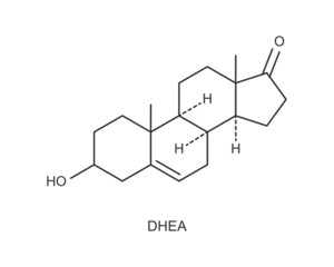 DHEA icon. Dehydroepiandrosterone hormone chemical molecular structure sign isolated on white background. Vector graphic illustration.