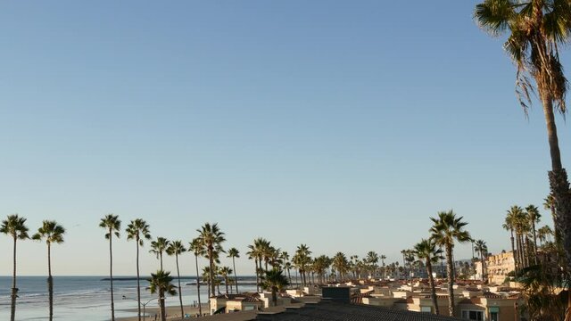 Palm tree perspective in Oceanside, California waterfront pacific ocean tropical beach resort, USA. Summertime sea coastline vacations. Palmtrees on beachfront seacoast boardwalk. Daytime blue sky.