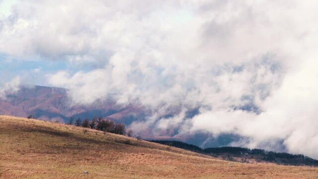 車山高原から望むの霧ヶ峰の風景