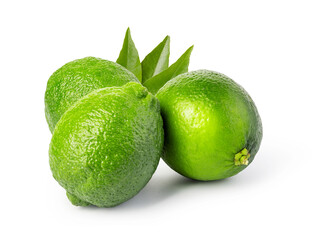 Fototapeta na wymiar lime citrus fruit