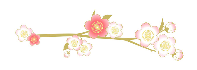 一枝風な桜の花の飾り罫線
