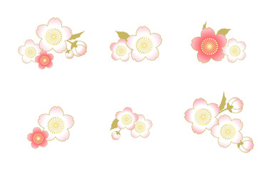 たくさんの和風な桜の花たち
