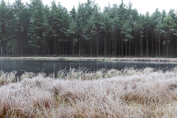 fog landscape with the first frost near the bog lake, calm reflection of water on the water...
