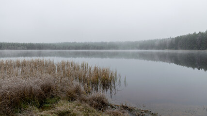 fog landscape with the first frost near the bog lake, calm reflection of water on the water surface, fog blurred horizon