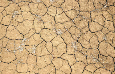 Cracks on dry ground. The dry land cracked. Background of drought.