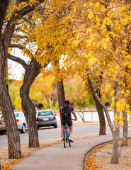 autumn in the park