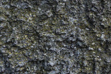 The grunge concrete old texture wall