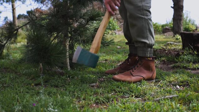 Woman with leather shoes and pine tree puts axe on ground.