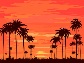 Naklejka na ściany i meble The evening on the beach Summer orange sky and coconut tree shadow