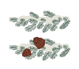 Cedar cone. Nut. Coniferous branch. Cedar, pine, spruce. Snow, snowdrift. Isolated vector colorful element. 