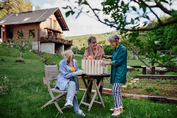 Happy senior women friends renovating wooden crate outdoors in garden.
