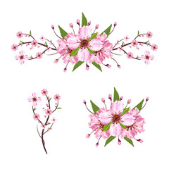 Set of Sakura blossom branch. Falling petals, flowers. Isolated flying realistic japanese pink cherry or apricot floral elements fall down vector background. Cherry blossom branch, flower petal